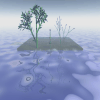 [Plants on Island in Water]