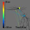 [Two Neurons]