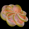 [Transparent Peach Eversion]