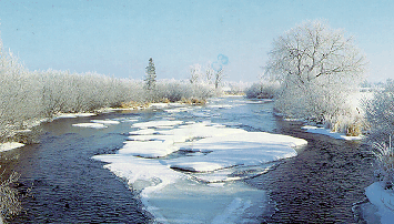 a picture of a river