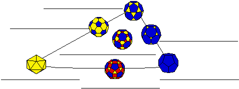 (2,3,5) Family Diagram